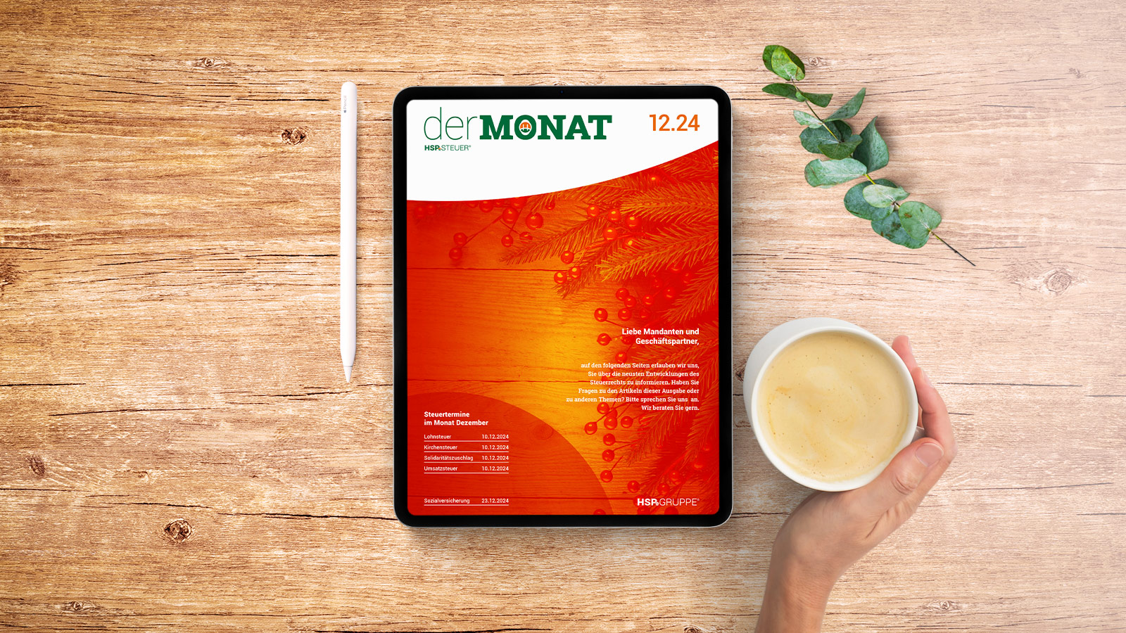 DER MONAT 12.2024 ist online